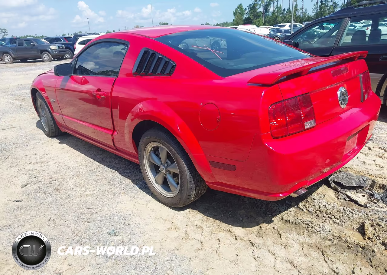 2006 Ford Mustang Gt VIN:1ZVHT82H965118469 - 3