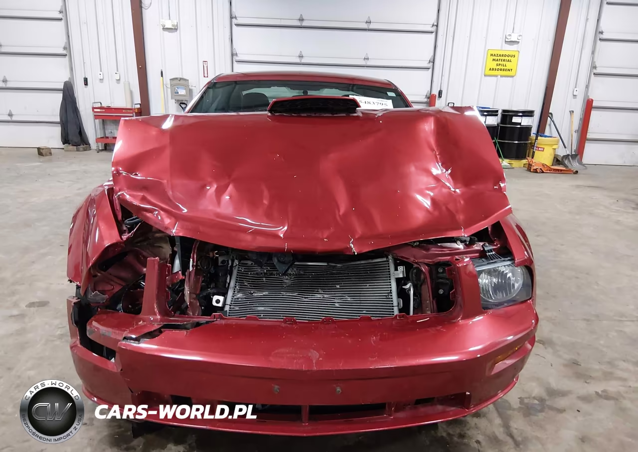 2007 Ford Mustang Gt Deluxe-Gt Premium VIN:1ZVFT82H275347469 - 13