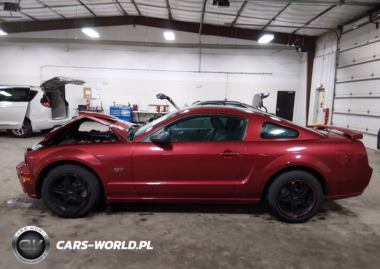 2007 Ford Mustang Gt Deluxe-Gt Premium VIN:1ZVFT82H275347469 - 15