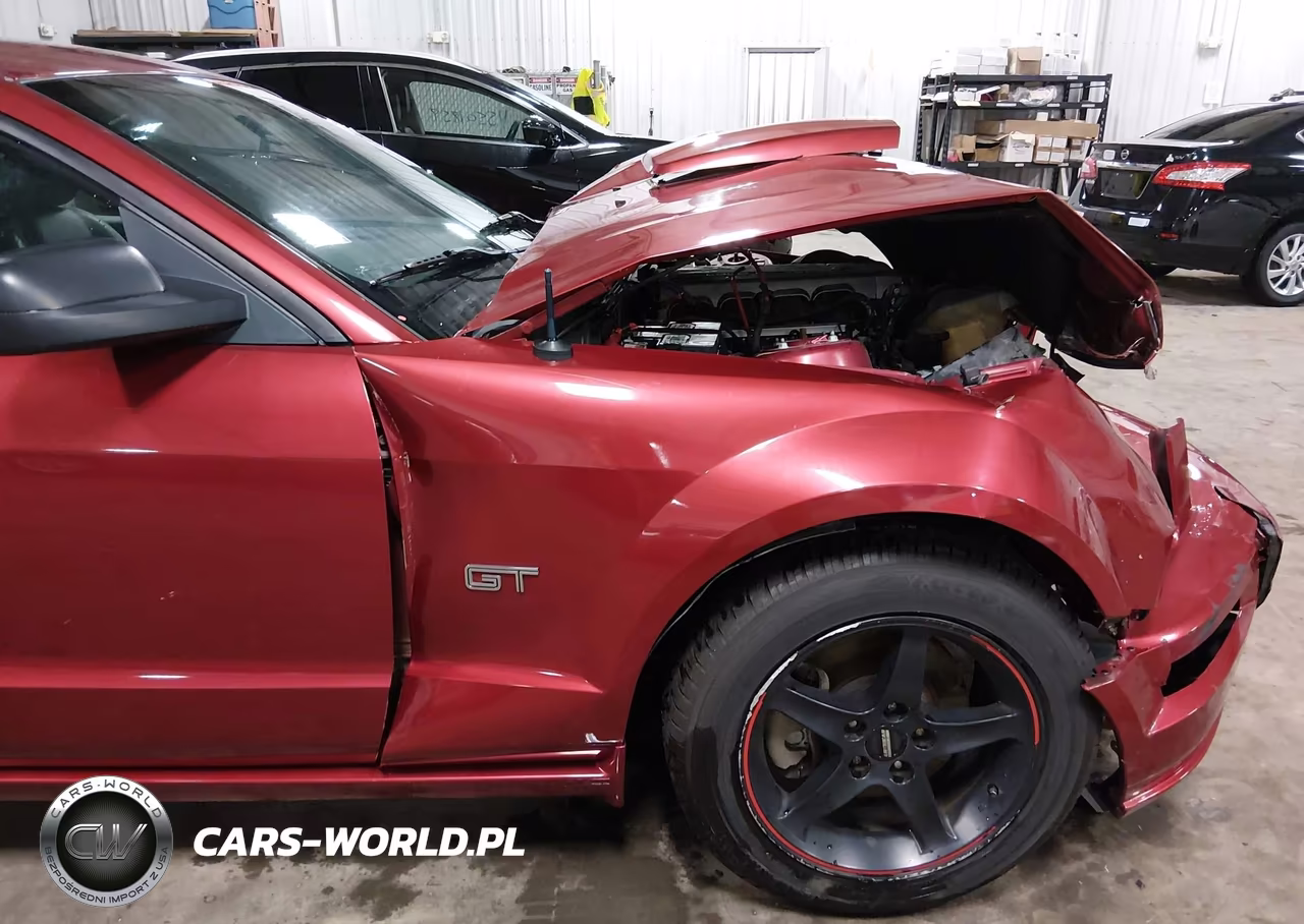 2007 Ford Mustang Gt Deluxe-Gt Premium VIN:1ZVFT82H275347469 - 18