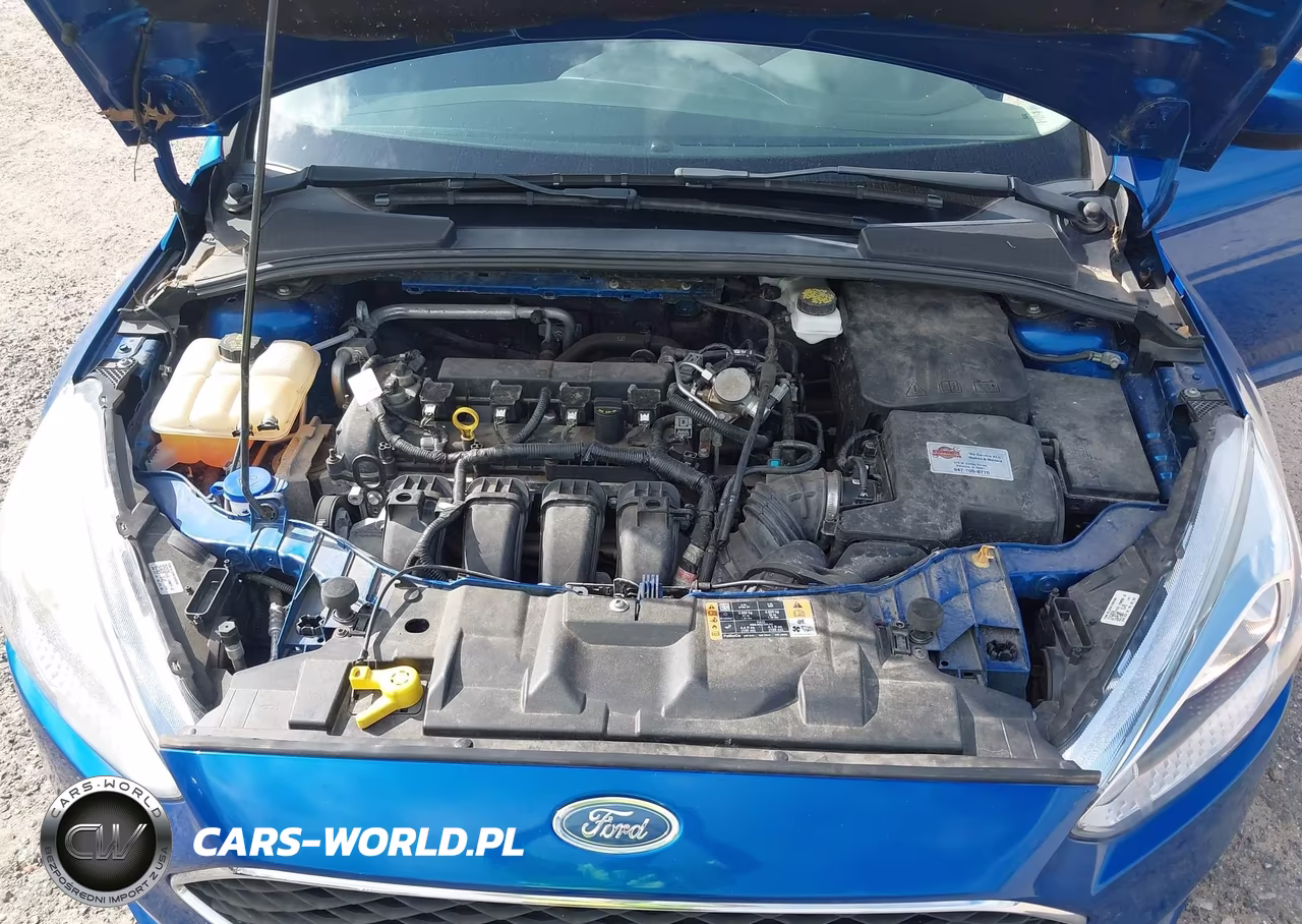2018 Ford Focus Se VIN:1FADP3F24JL327854 - 10
