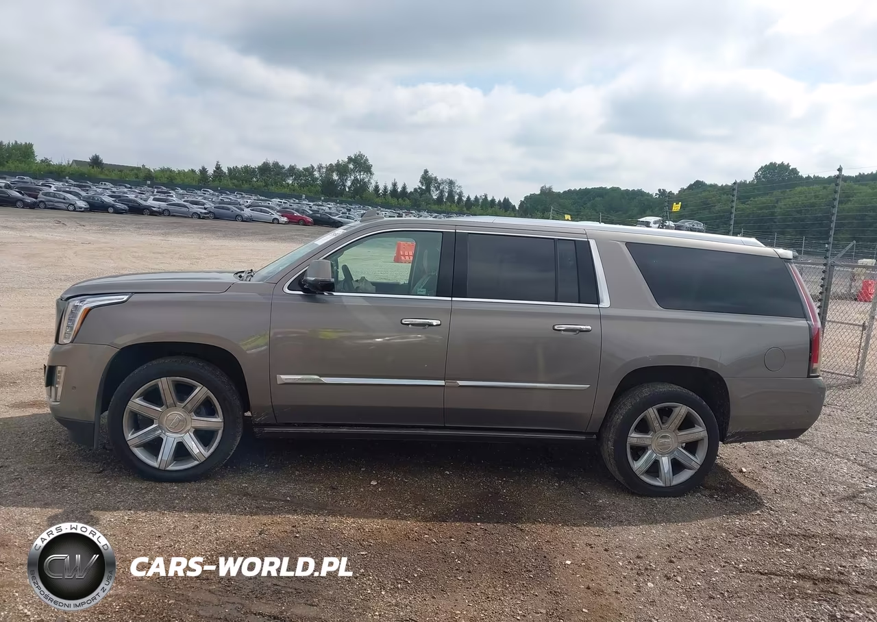 2017 Cadillac Escalade Esv Premium Luxury VIN:1GYS4JKJ6HR319185 - 14