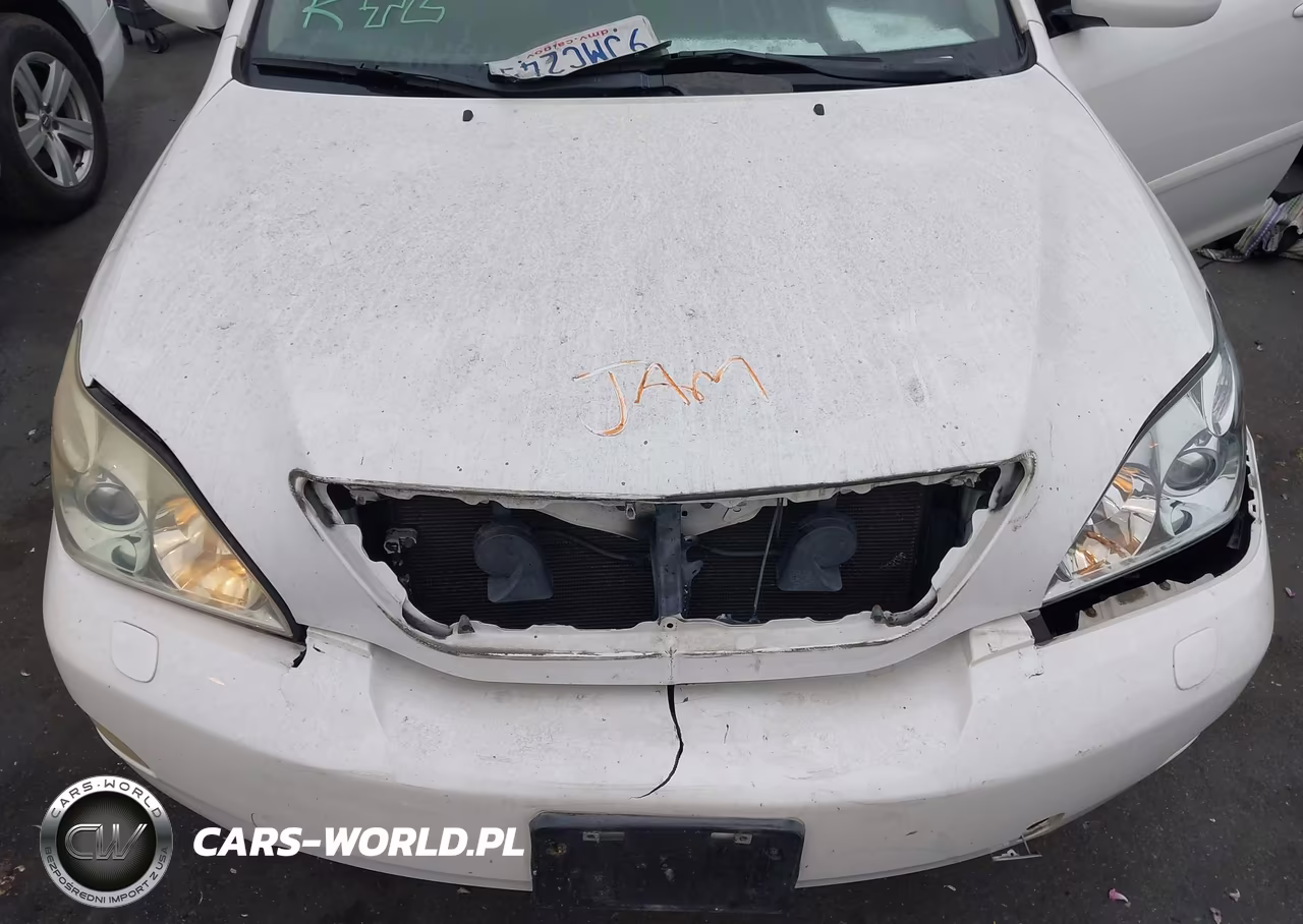 2007 Lexus Rx 350 VIN:JTJGK31U670007344 - 10