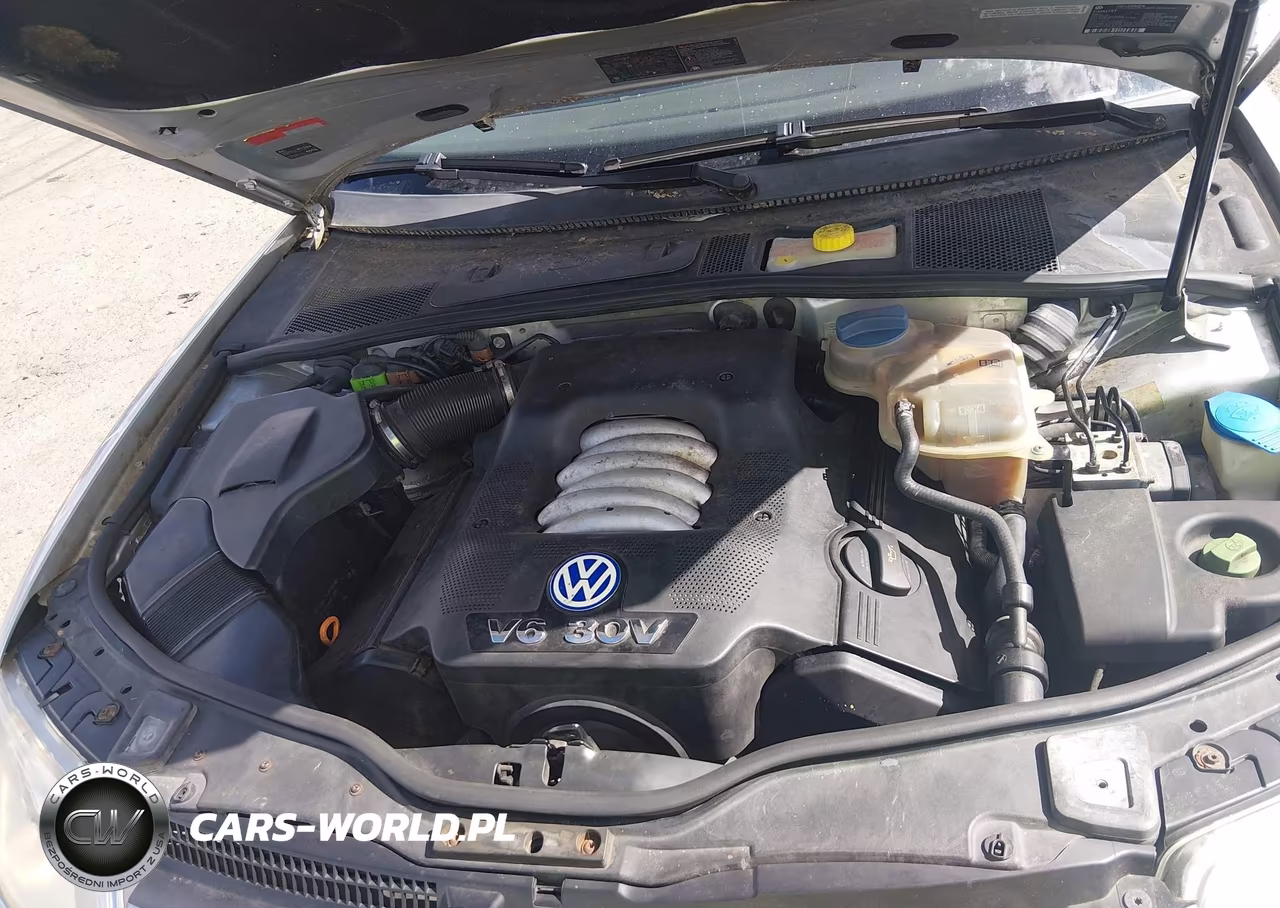 2002 Volkswagen Passat Glx VIN:WVWTH63BX2P246456 - 10