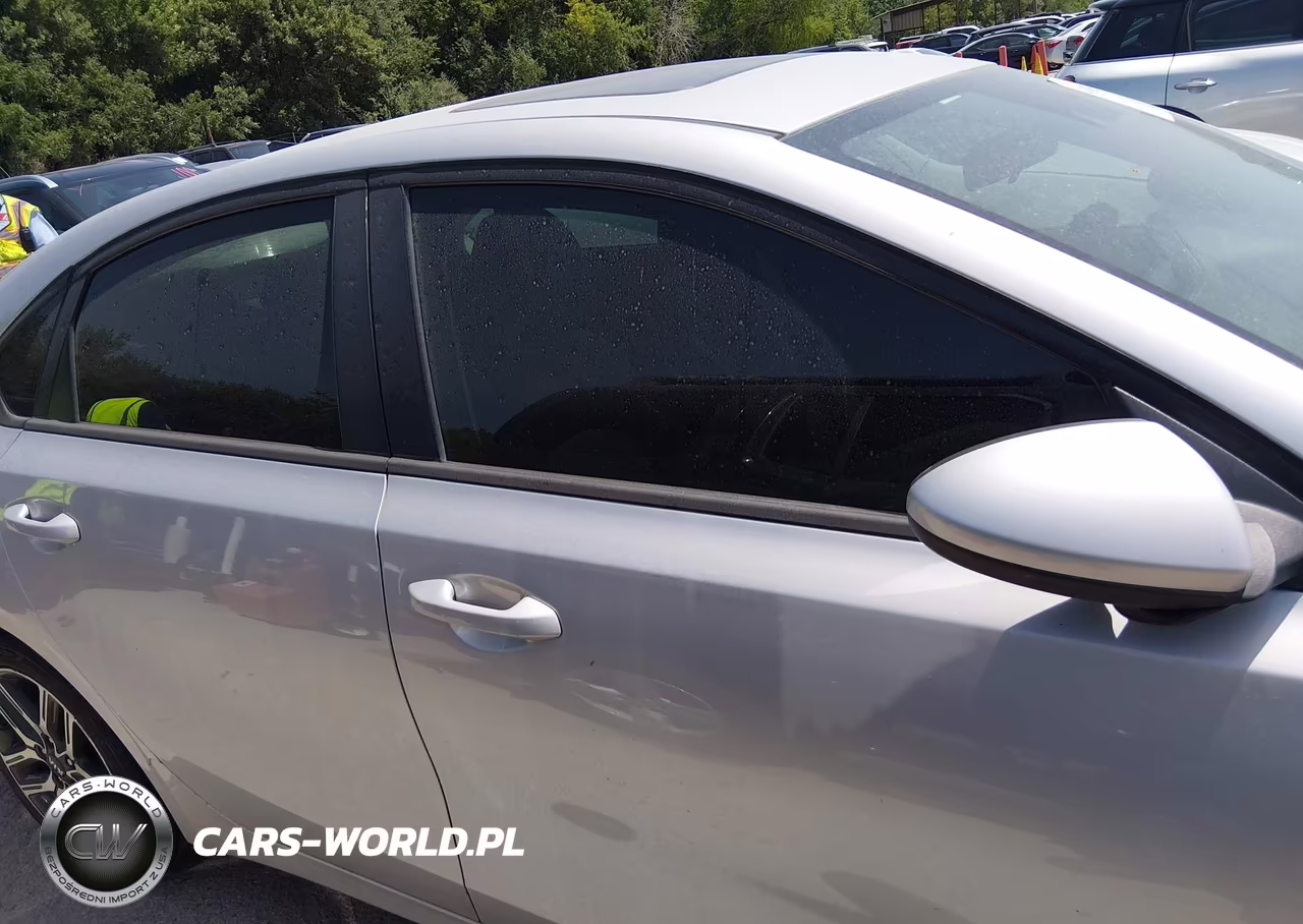 2019 Kia Forte S VIN:3KPF34AD3KE049696 - 13