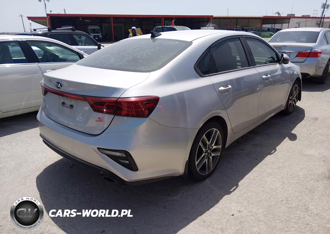 2019 Kia Forte S VIN:3KPF34AD3KE049696 - 4