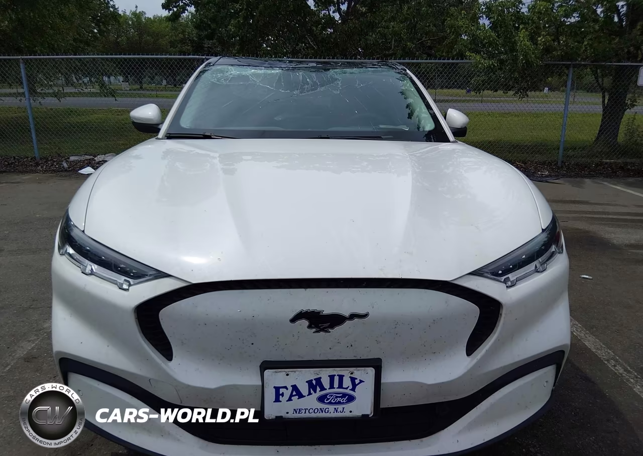 2021 Ford Mustang Mach-E Select VIN:3FMTK1SS4MMA51012 - 12