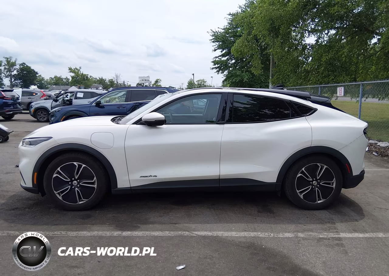 2021 Ford Mustang Mach-E Select VIN:3FMTK1SS4MMA51012 - 14