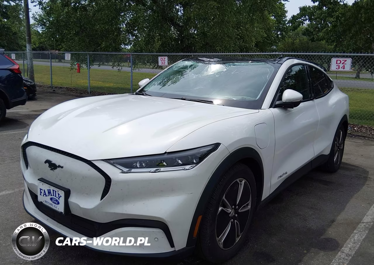 2021 Ford Mustang Mach-E Select VIN:3FMTK1SS4MMA51012 - 2