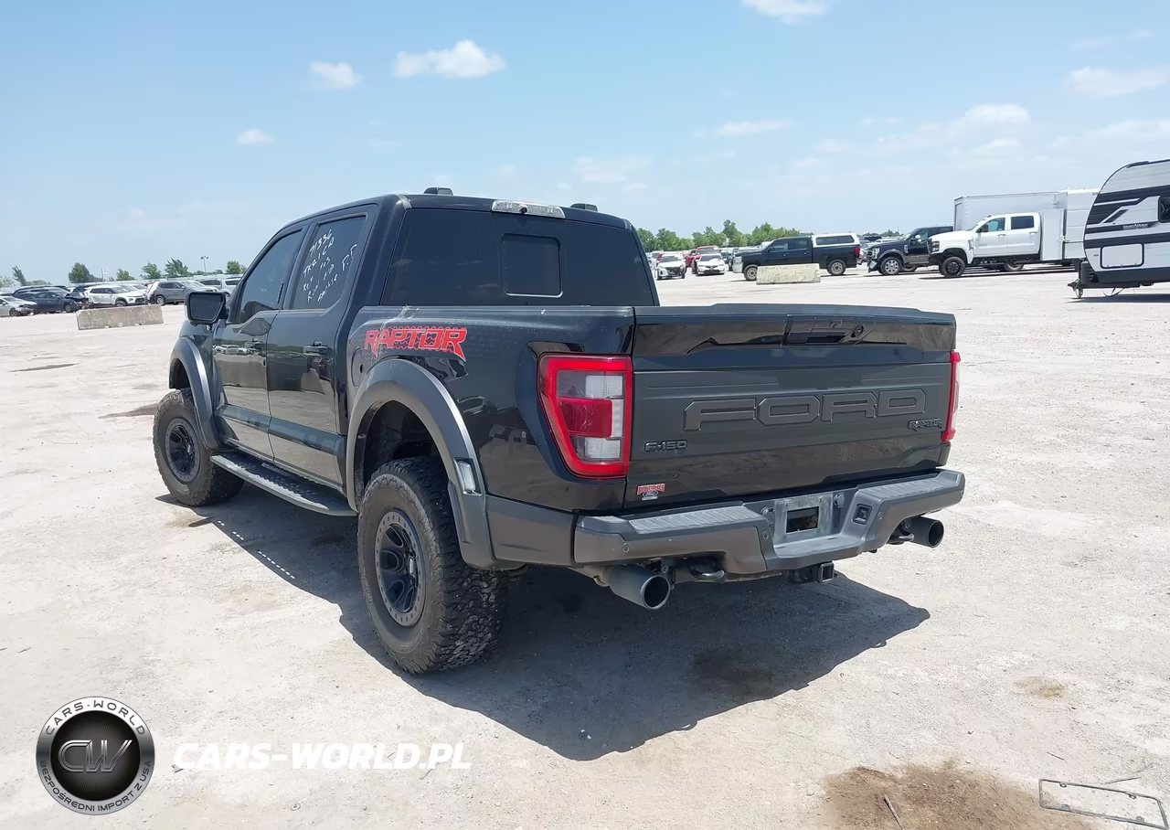 2022 Ford F-150 Raptor VIN:1FTFW1RG5NFB84676 - 3