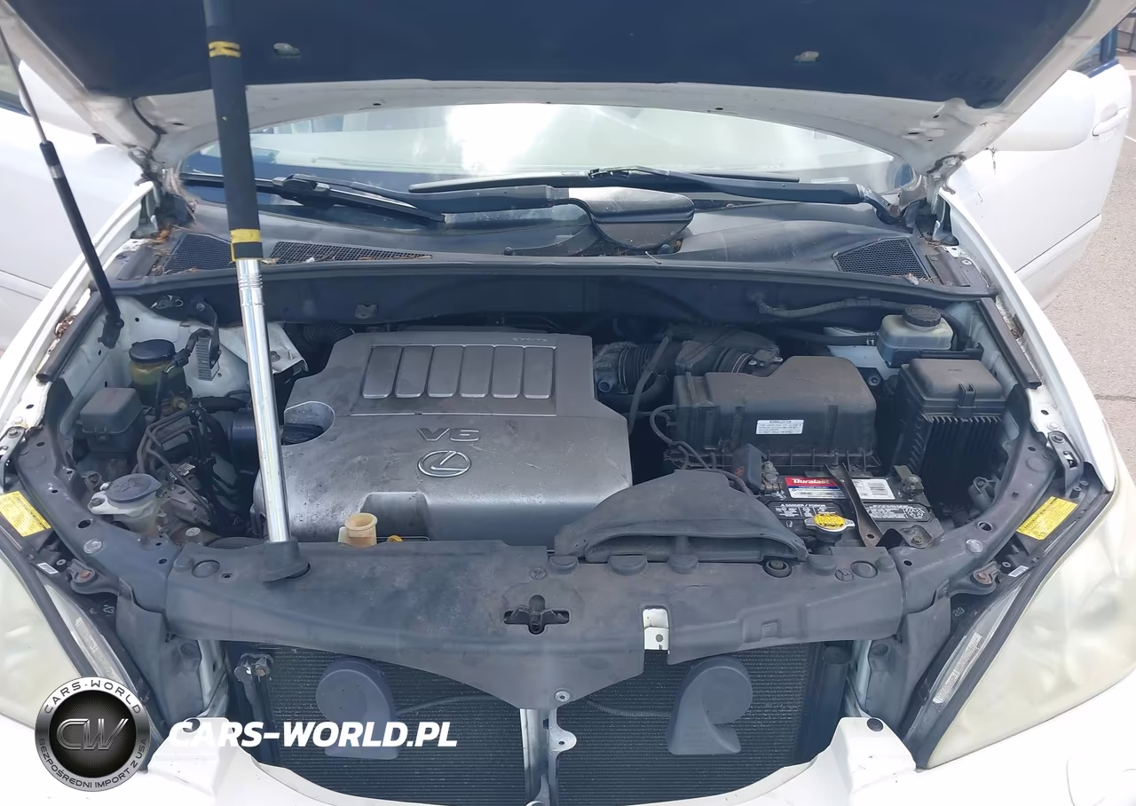 2007 Lexus Rx 350 VIN:JTJGK31U670008493 - 10