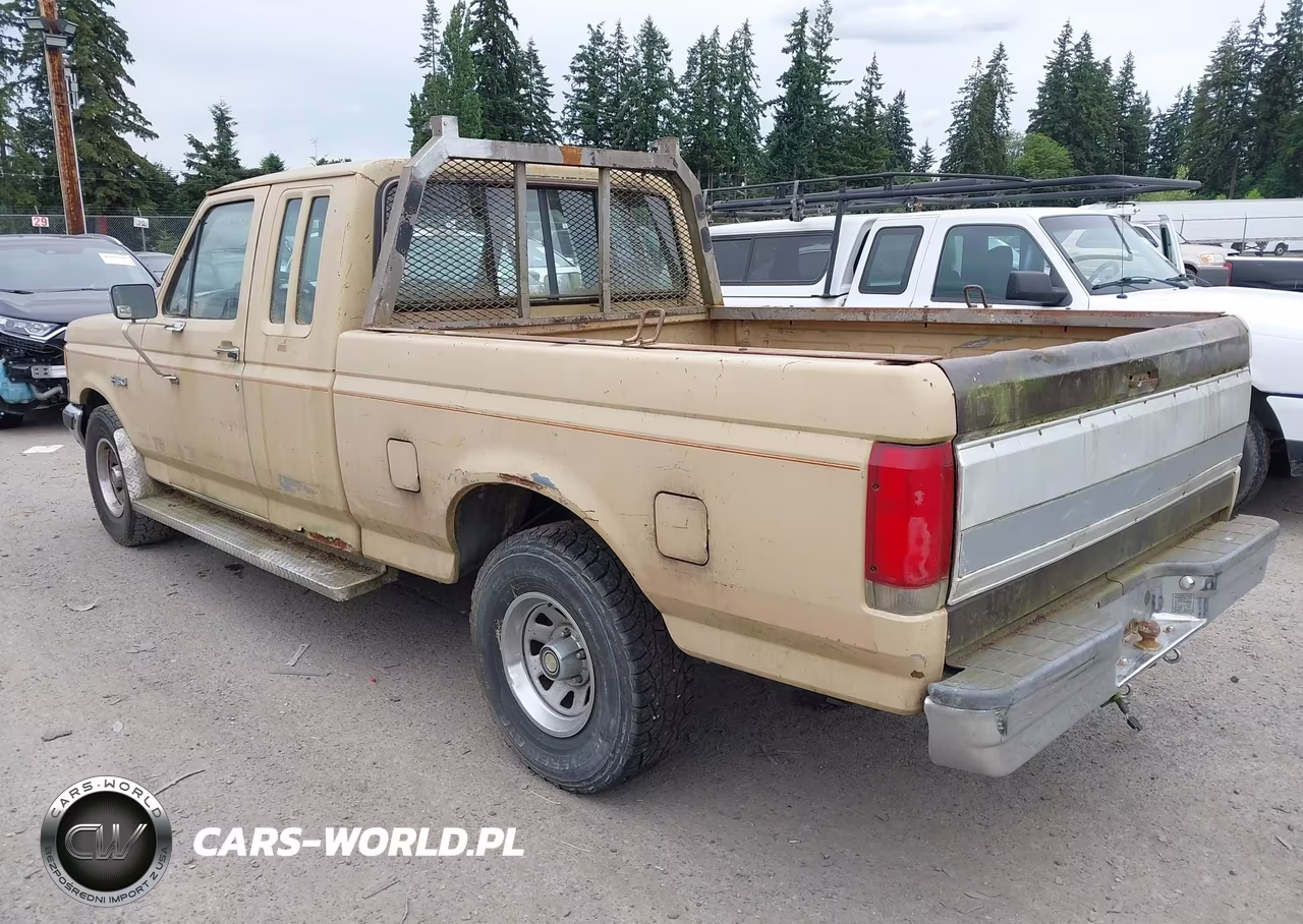 1988 Ford F150 VIN:1FTEX15Y0JKA58119 - 3