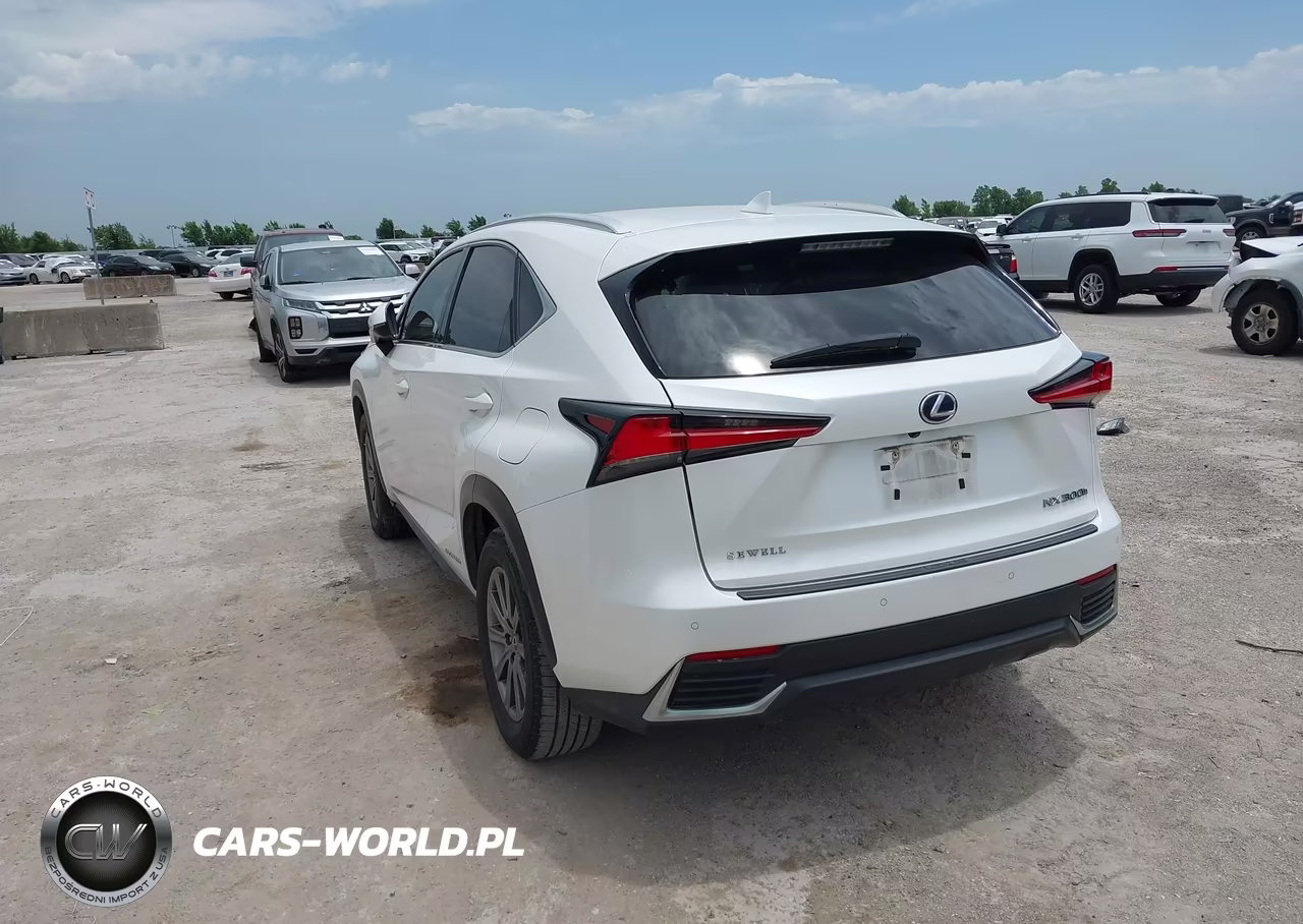 2018 Lexus Nx 300H VIN:JTJBJRBZ4J2084171 - 3