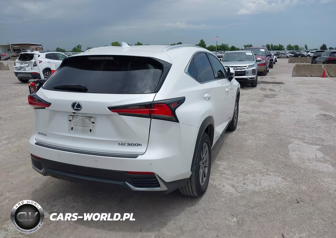 2018 Lexus Nx 300H VIN:JTJBJRBZ4J2084171 - 4