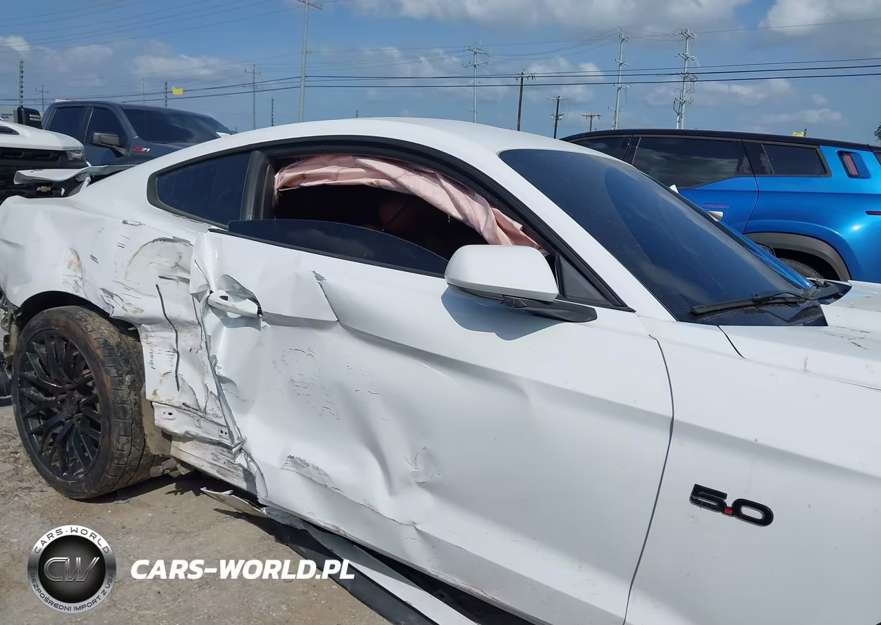 2016 Ford Mustang Gt-Gt Premium VIN:1FA6P8CF5G5256478 - 14