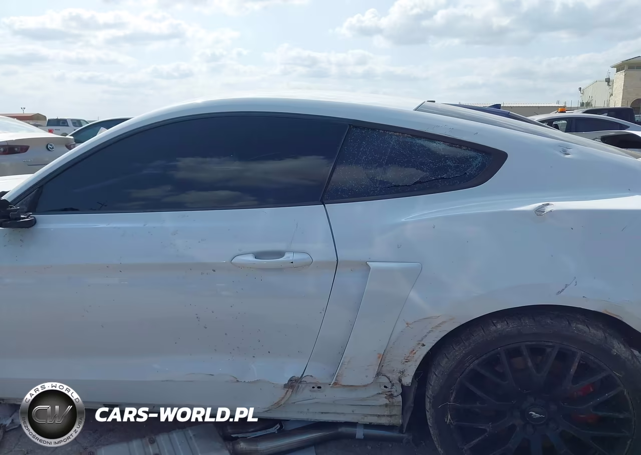 2016 Ford Mustang Gt-Gt Premium VIN:1FA6P8CF5G5256478 - 15