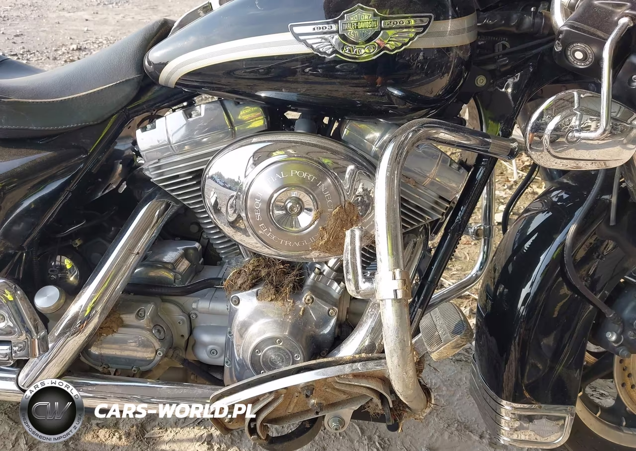 2003 Harley-Davidson Flhti VIN:1HD1FVW103Y644182 - 8