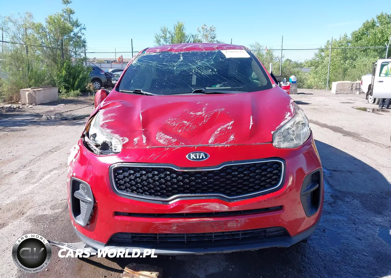 2019 Kia Sportage Lx VIN:KNDPM3AC7K7526245 - 12