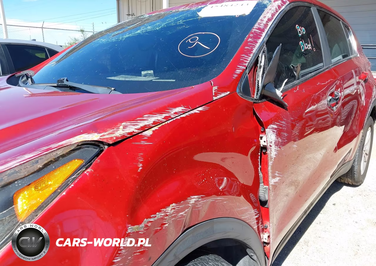 2019 Kia Sportage Lx VIN:KNDPM3AC7K7526245 - 17