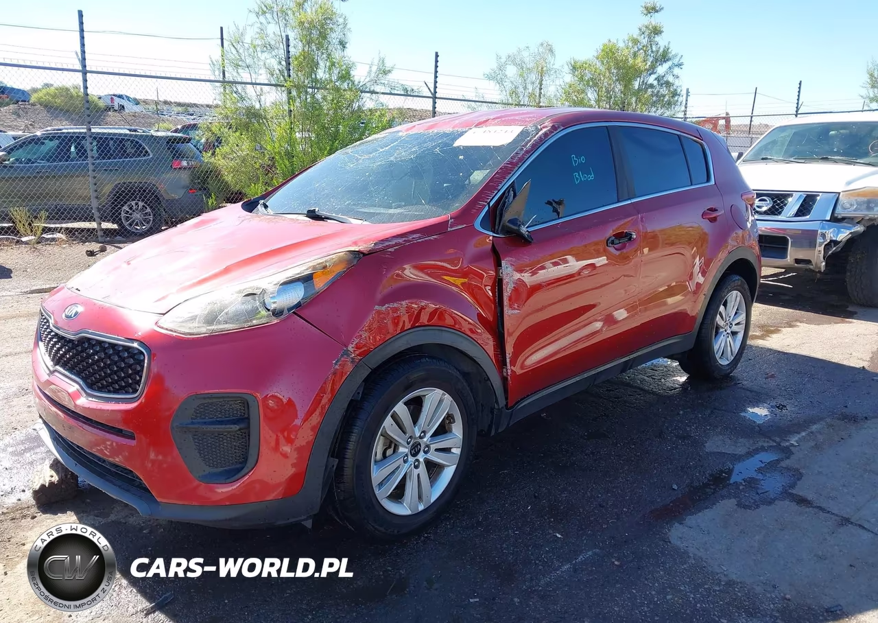 2019 Kia Sportage Lx VIN:KNDPM3AC7K7526245 - 2
