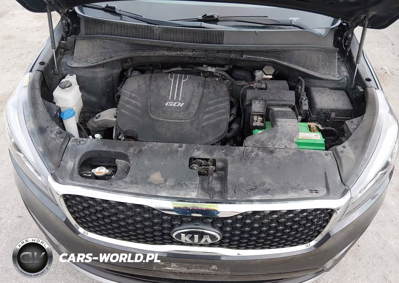2016 Kia Sorento 3.3L Ex VIN:5XYPHDA57GG175276 - 10