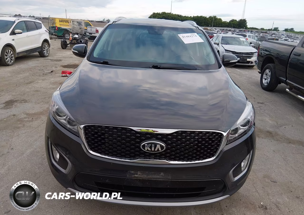 2016 Kia Sorento 3.3L Ex VIN:5XYPHDA57GG175276 - 19