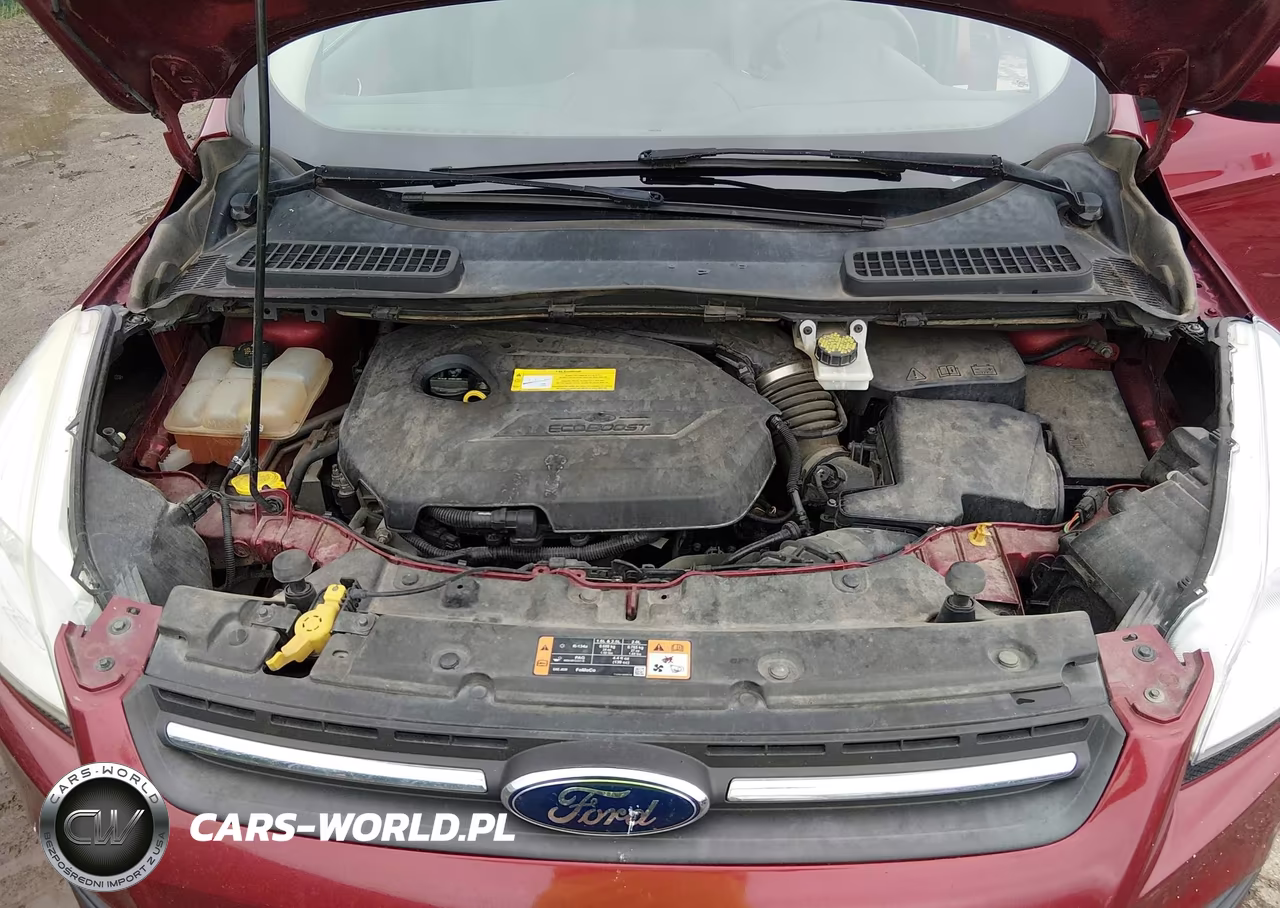 2016 Ford Escape Se VIN:1FMCU9GXXGUC08877 - 10