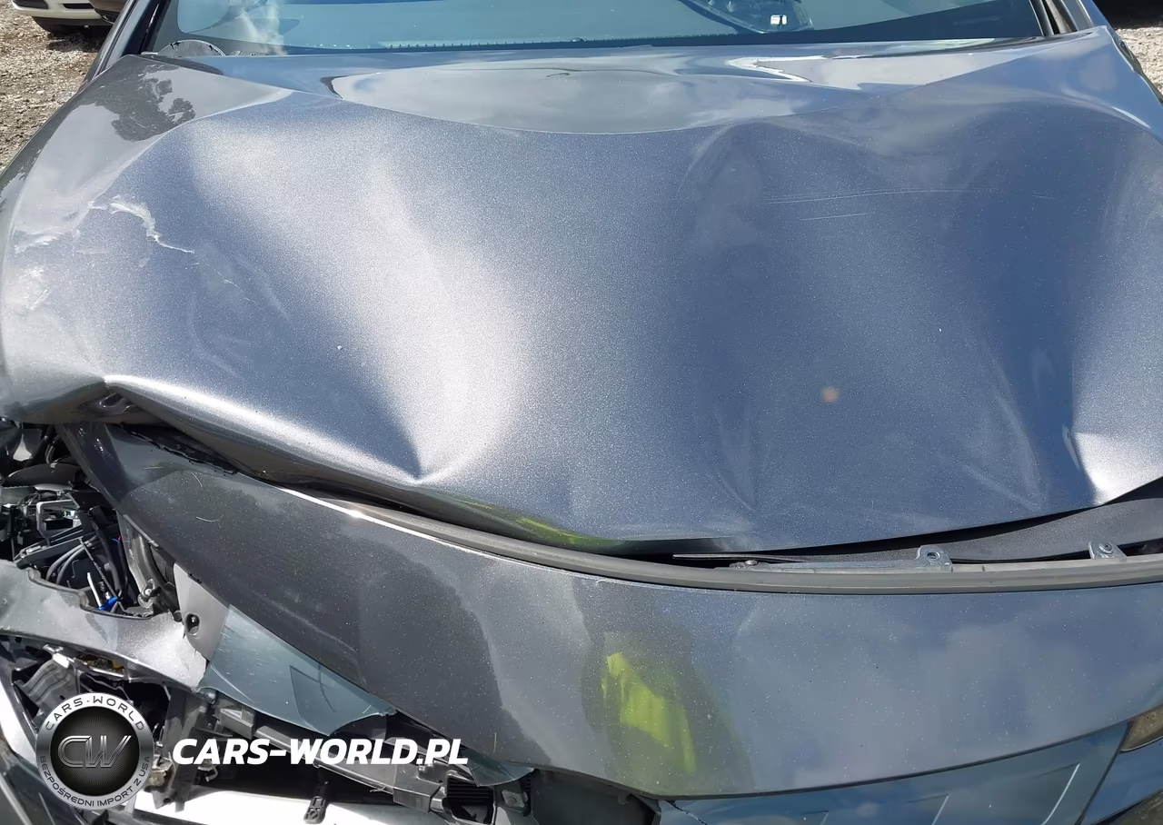 2020 Toyota Prius Prime Xle VIN:JTDKARFP8L3161309 - 10