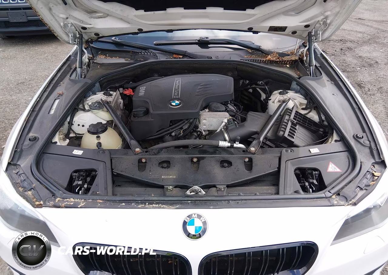 2014 BMW 528I xDrive VIN:WBA5A7C51ED616290 - 10
