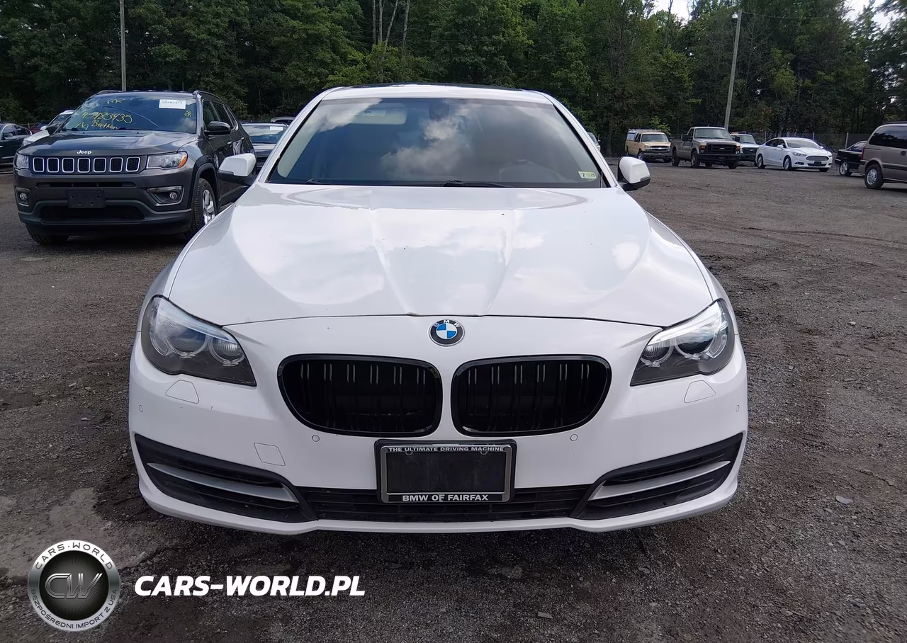 2014 BMW 528I xDrive VIN:WBA5A7C51ED616290 - 12