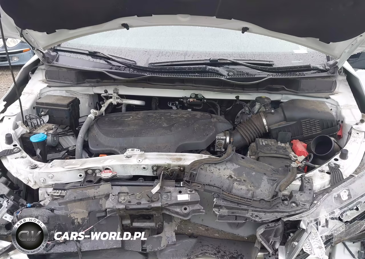 2024 Honda Odyssey Sport VIN:5FNRL6H70RB053685 - 10