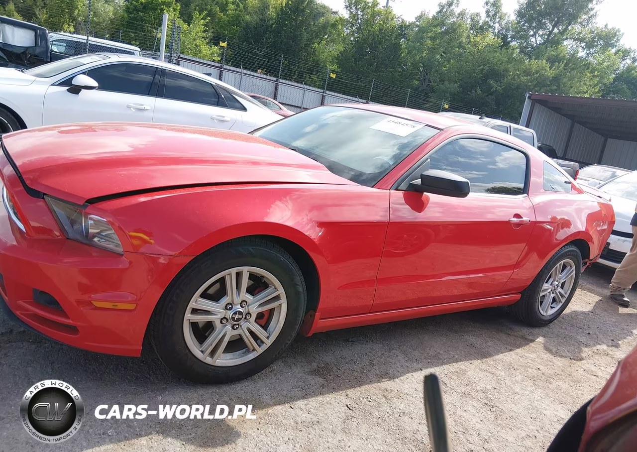2013 Ford Mustang V6-V6 Premium VIN:1ZVBP8AM6D5266147 - 14