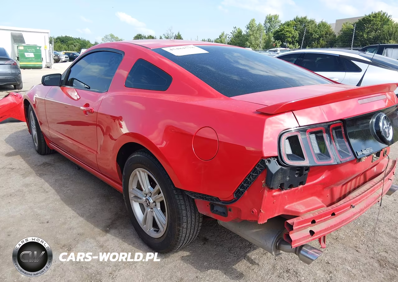 2013 Ford Mustang V6-V6 Premium VIN:1ZVBP8AM6D5266147 - 3