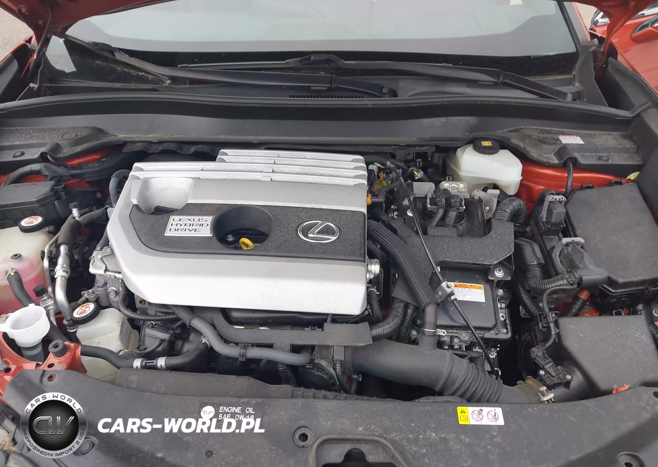 2019 Lexus Ux 250H VIN:JTHU9JBH5K2017477 - 10