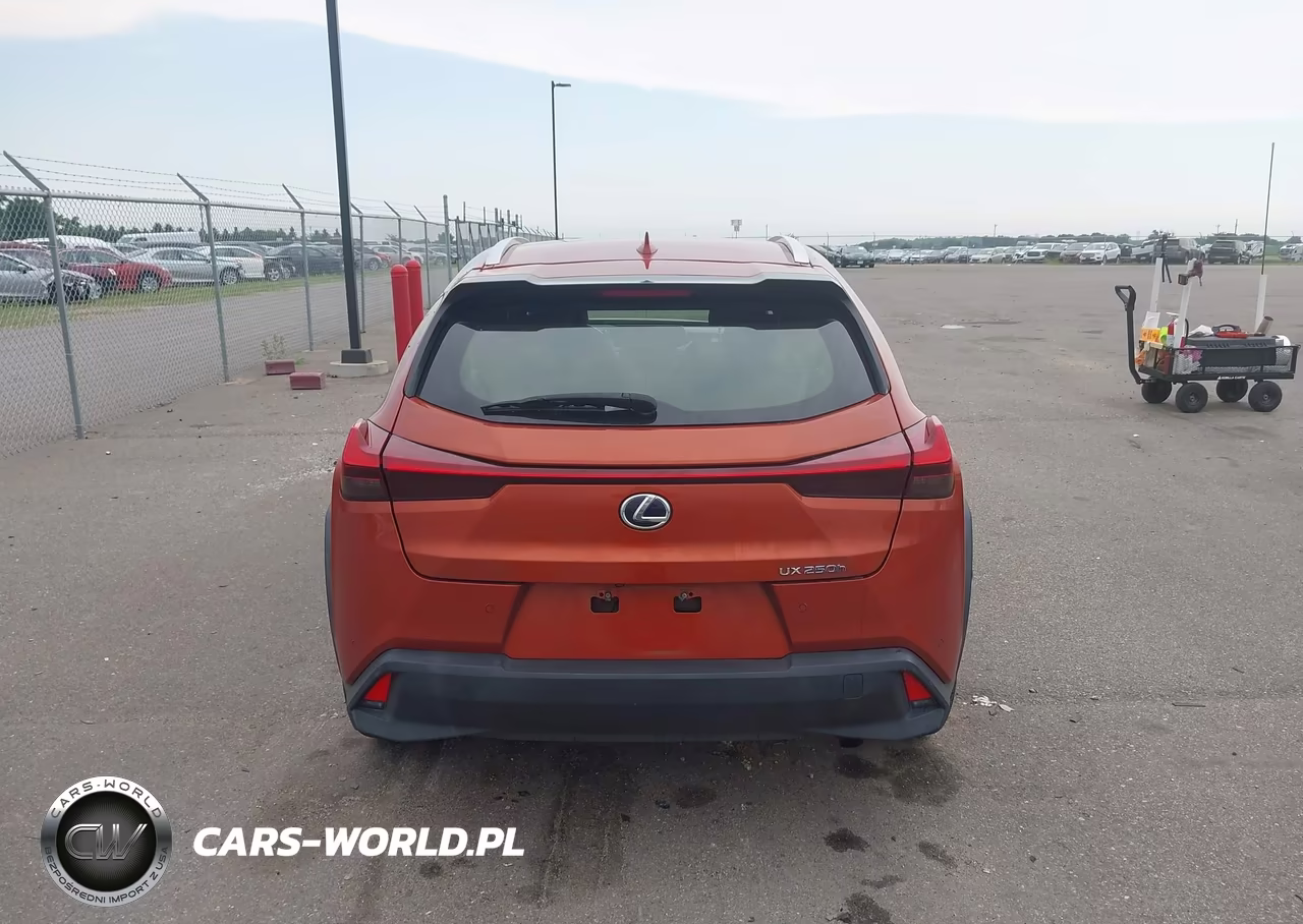 2019 Lexus Ux 250H VIN:JTHU9JBH5K2017477 - 16