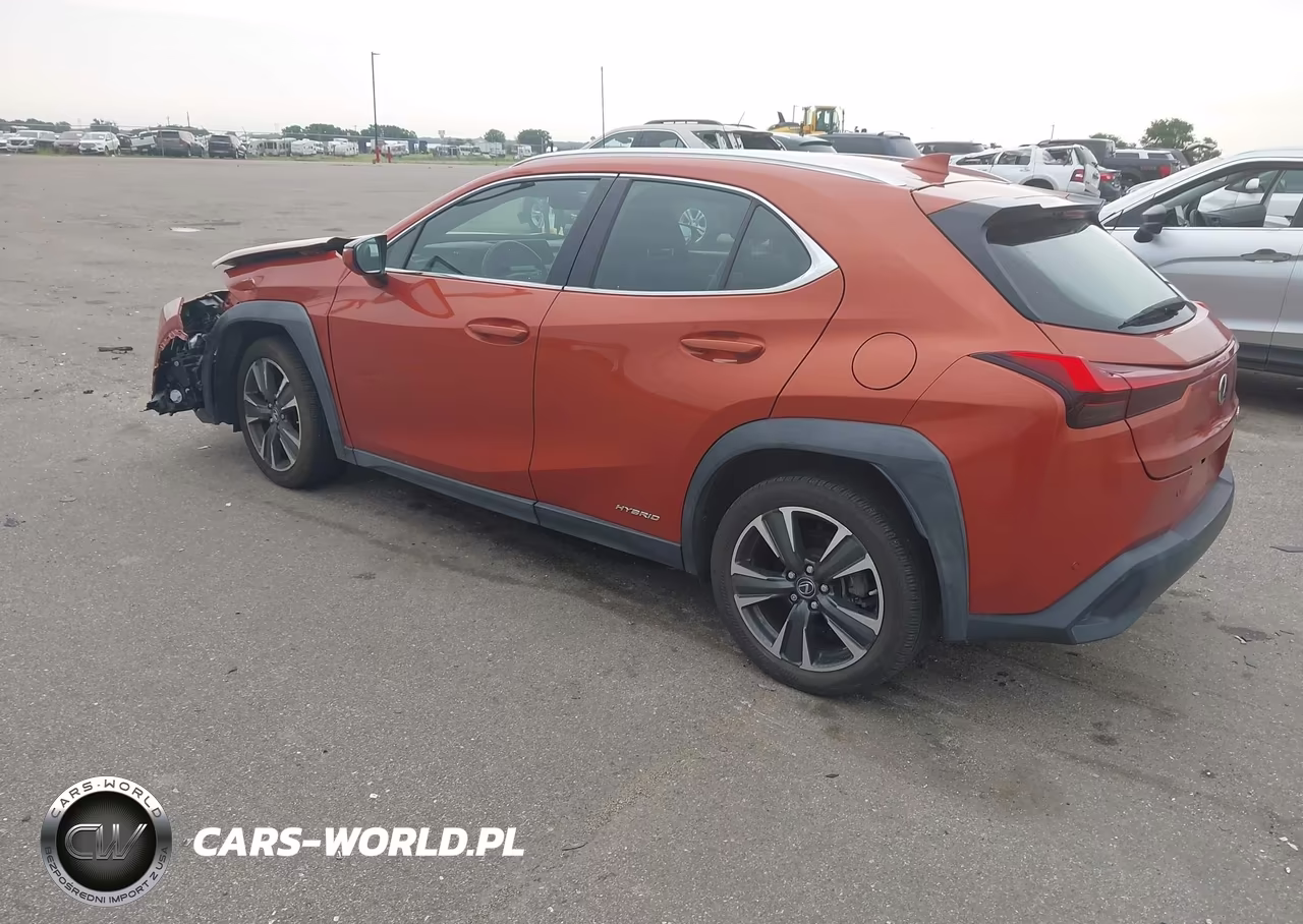 2019 Lexus Ux 250H VIN:JTHU9JBH5K2017477 - 3