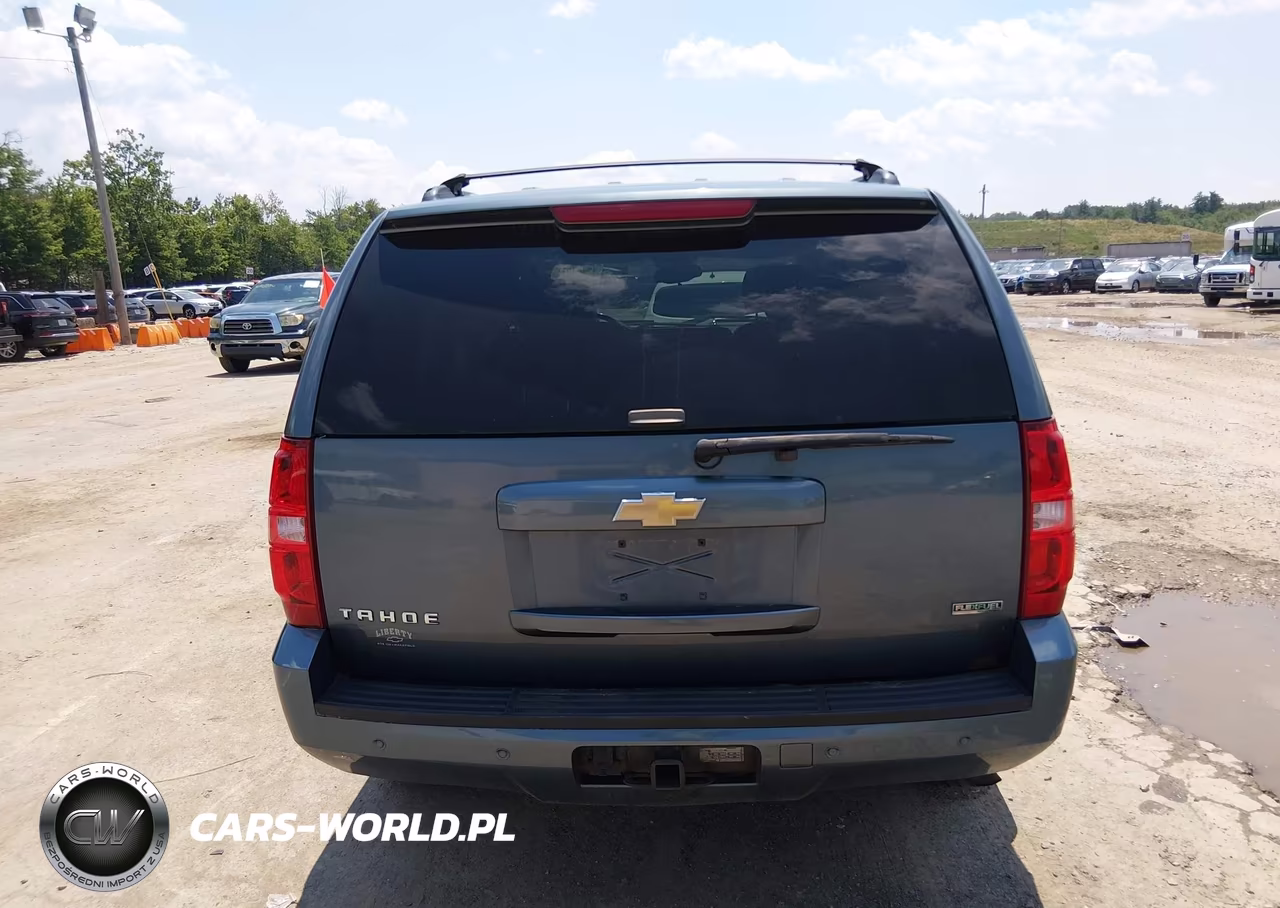 2010 Chevrolet Tahoe Lt VIN:1GNUKBE01AR257978 - 17