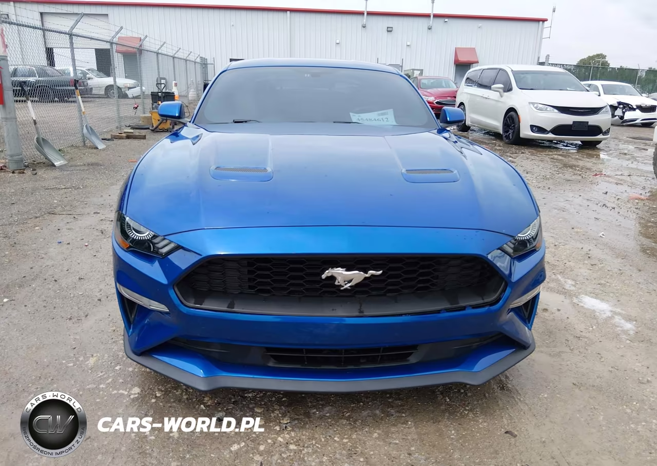 2018 Ford Mustang Ecoboost VIN:1FA6P8TH7J5120586 - 12