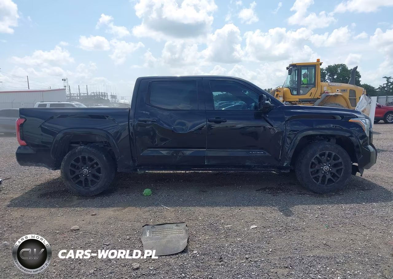 2022 Toyota Tundra Platinum VIN:5TFNA5DB6NX014303 - 14