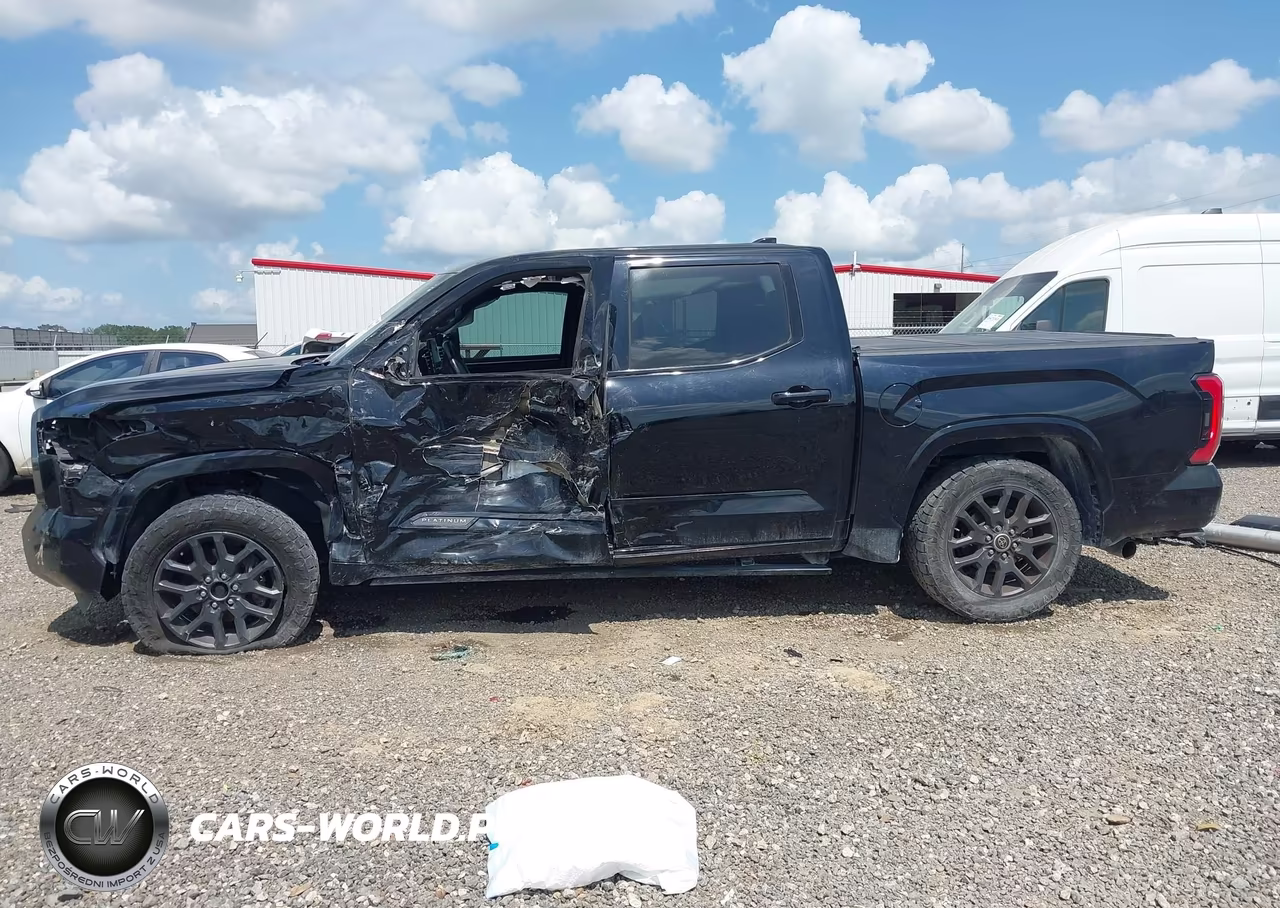 2022 Toyota Tundra Platinum VIN:5TFNA5DB6NX014303 - 15