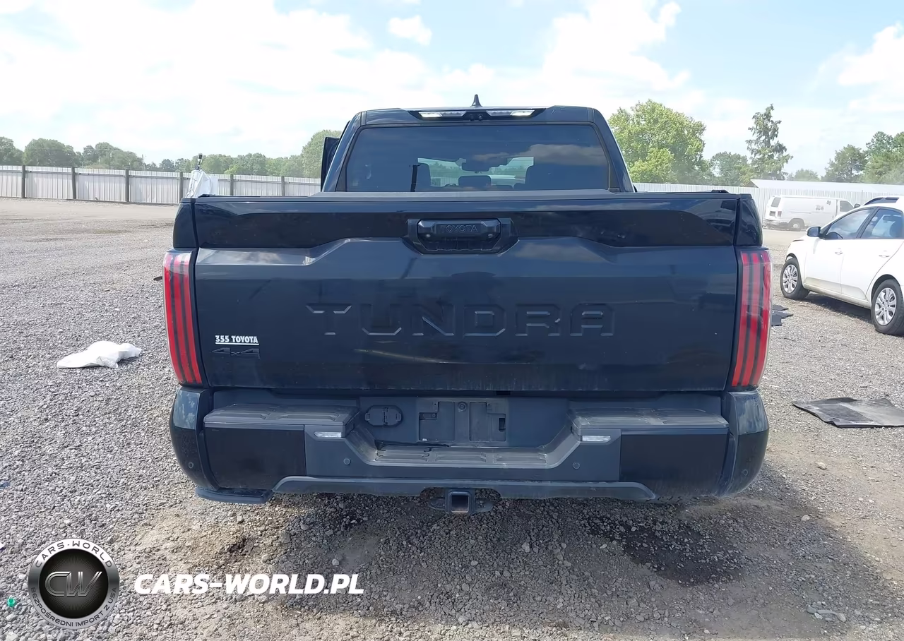 2022 Toyota Tundra Platinum VIN:5TFNA5DB6NX014303 - 17