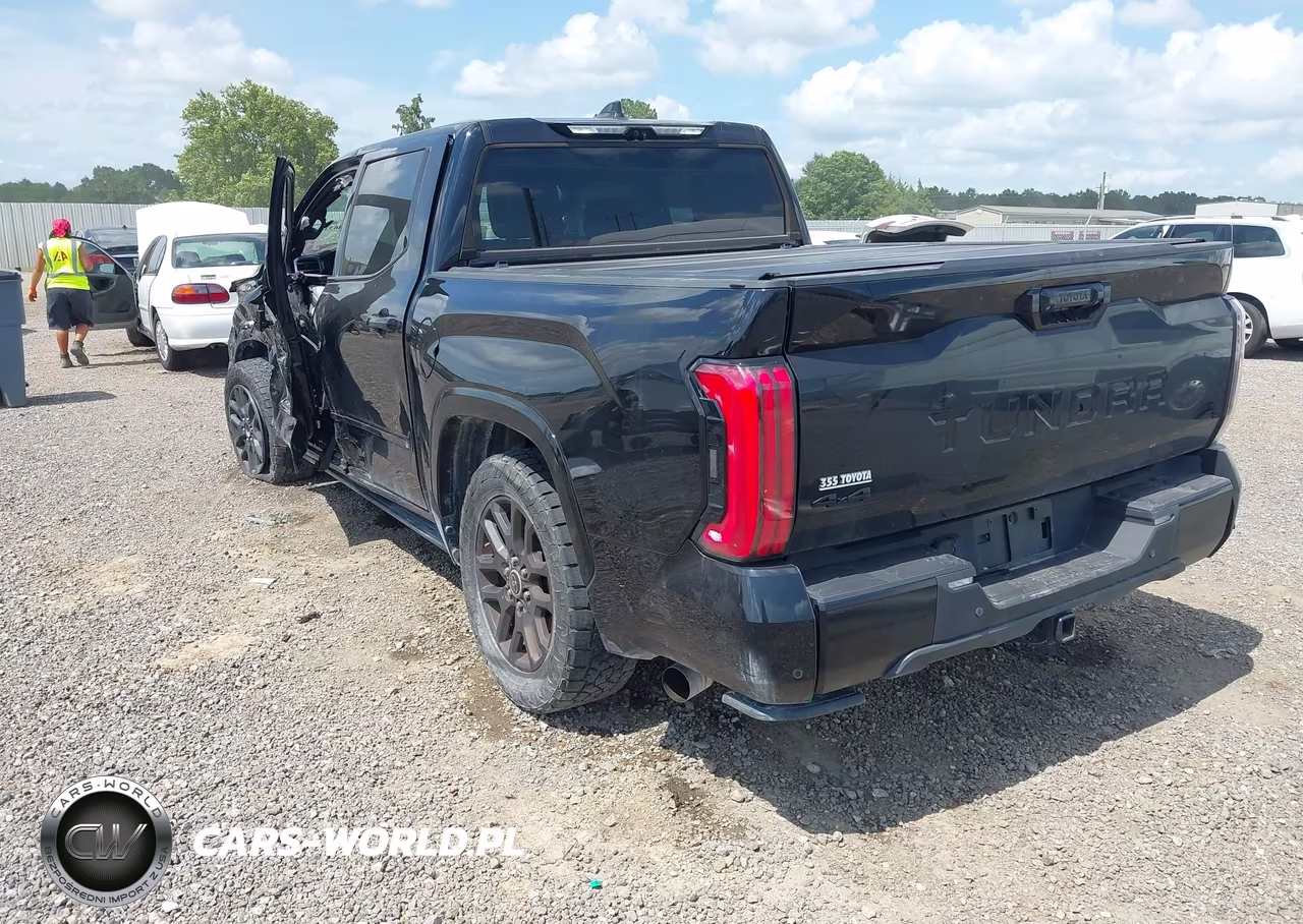 2022 Toyota Tundra Platinum VIN:5TFNA5DB6NX014303 - 3