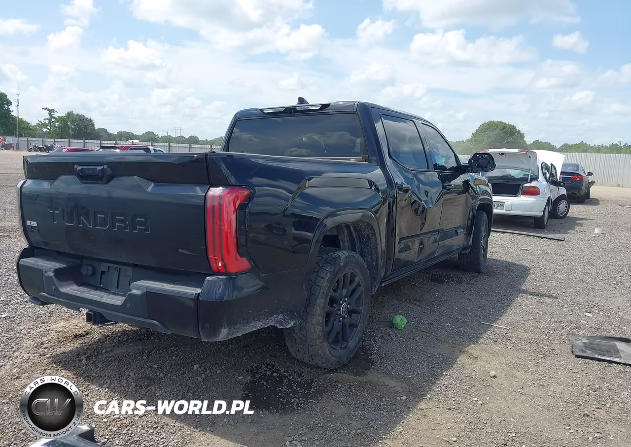 2022 Toyota Tundra Platinum VIN:5TFNA5DB6NX014303 - 4