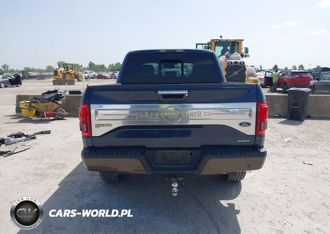 2016 Ford F-150 King Ranch VIN:1FTEW1EF1GFB43764 - 17