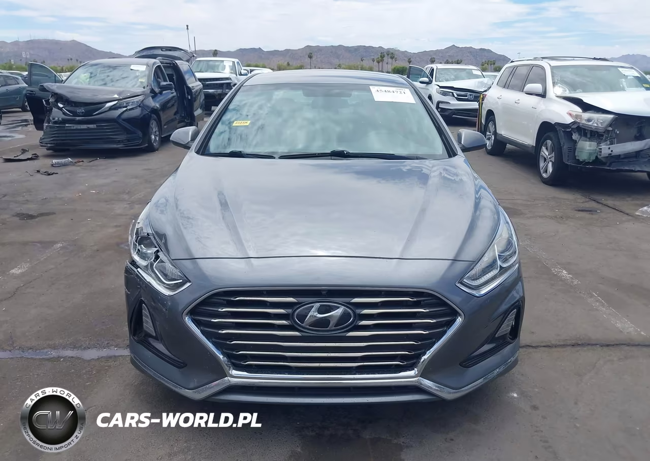 2019 Hyundai Sonata Se VIN:5NPE24AF4KH813471 - 12
