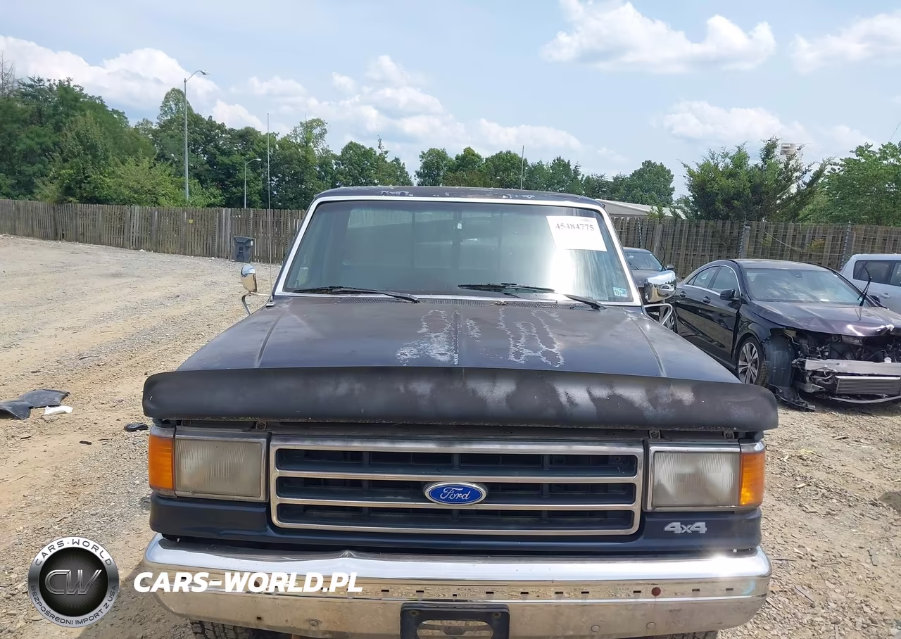 1990 Ford F150 VIN:1FTEF14Y1LNA06116 - 6