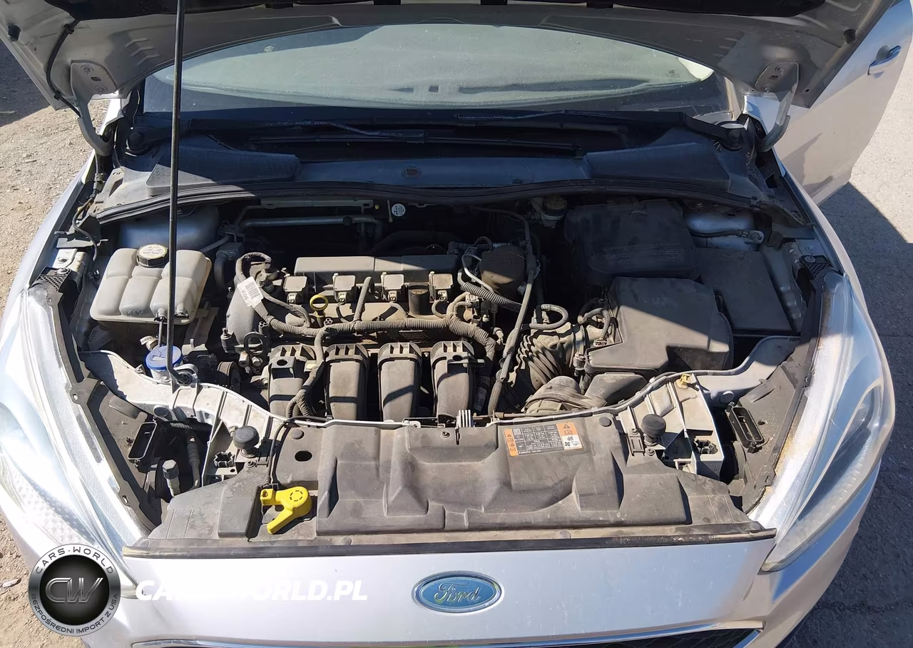 2015 Ford Focus Se VIN:1FADP3F25FL316563 - 10
