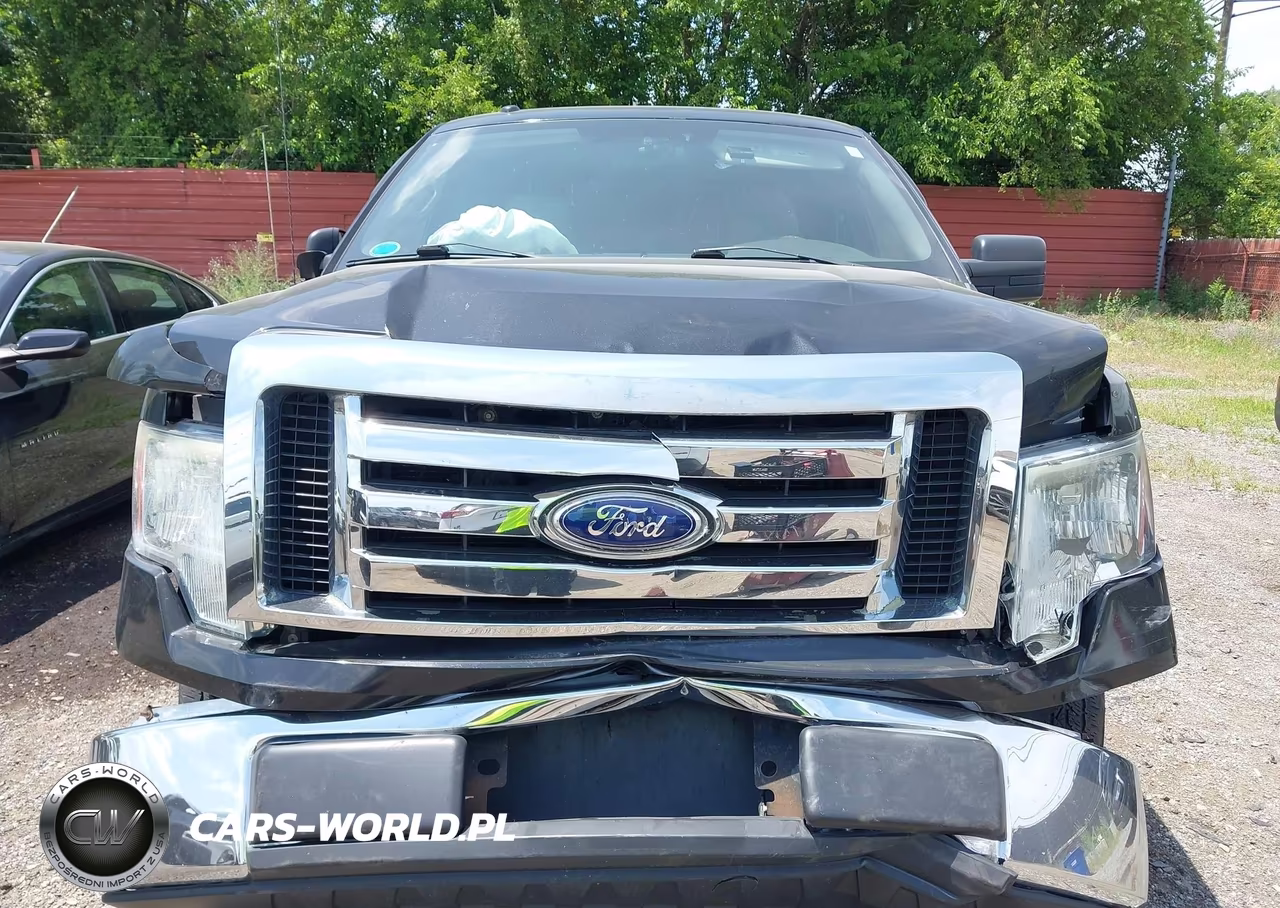 2010 Ford F-150 Fx2 Sport-Stx-Xl-Xlt VIN:1FTEX1C89AFB64693 - 12