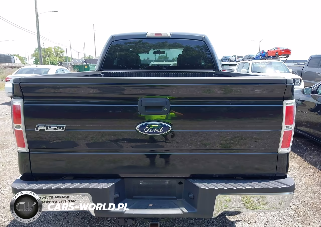 2010 Ford F-150 Fx2 Sport-Stx-Xl-Xlt VIN:1FTEX1C89AFB64693 - 16