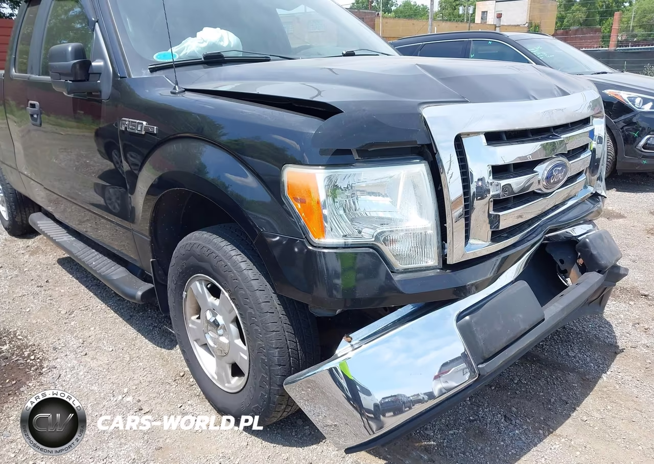 2010 Ford F-150 Fx2 Sport-Stx-Xl-Xlt VIN:1FTEX1C89AFB64693 - 6